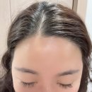 메이크업시리 | 서면 시리뷰티 눈썹&속눈썹에서 속눈썹연장 받고 자신감 충전후 면접본 후기