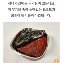 고추장 곰팡이 예방법 이미지