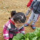 도림농장 이미지