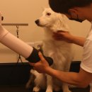 올리스 아시아드점 이미지