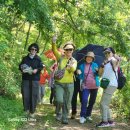 &#39;행복한 나드리&#39; 아산 천년물길. 공주 색동수국 정원 여행 후기