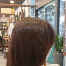 윤스헤어 네이버블로그
