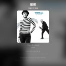나뭇잎으로 보이는 풍경 (W&amp;Whale - 월광) 이미지