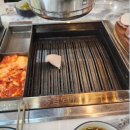 금도야지 - 고양시 일산동구 위시티로 49 | 금도야지