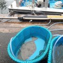 정치망민박 이미지