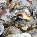 완도전복 이미지