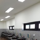 원성2교길50 Daum카페