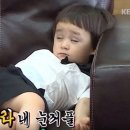 안추곤 네이버블로그