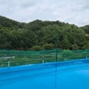 양지별밤 이미지