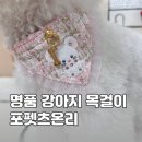 도그온리 | 포펫츠온리 트위드 반다나 목걸이 추천