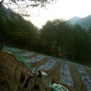 귀선농장 이미지