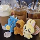 프리미엄 와와 이미지