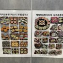 시스터즈캐릭터김밥앤쿠키