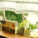 재롱이어린이집 이미지