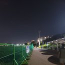 금호강 둔치 축구장 이미지
