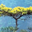 황금농장2 이미지