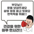 태무한신태권도장 이미지