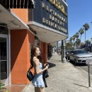 우주수지 이미지