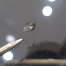 동일차유리 이미지