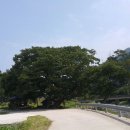 죽파리 경로당 이미지