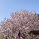 뎅뎅이랜드 이미지