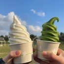 이시돌목장 | [제주 한림 카페] 성이시돌 목장 + 우유부단 아이스크림 후기