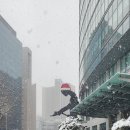 리빙명동