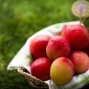 구강청정제의 색다른 활용법 이미지