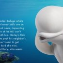 이태원동물병원 이미지