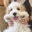 뉴 마인 하우스 이미지