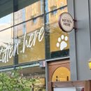 키튼히얼 고양이분양 김포본점 이미지