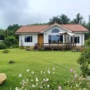 꼼지의 작은세상 이미지