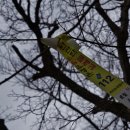 한라산둘레길 돌오름길 이미지