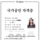 [직장병행 비전공자 SQLD 합격 후기] 원트 합격 + 공부 방법