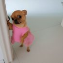 주문진항유리횟집 이미지