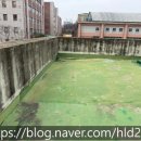 능내초등학교 이미지