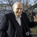 Blatter 이미지