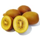 해금초밥 | [일상/도시락] 직장인 간편 도시락 메뉴 추천(두부조림, 어묵볶음, 김치고기덮밥, 유부초밥)