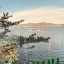 2020스파엔 풀빌라 이미지