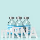 “암도 백신으로 잡는다”…글로벌 3상 뚫고 국내 기술도 가세한 ‘맞춤형 mRNA 암백신’ 이미지