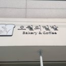 오월의 밀밭 | 종암동 고려대 빵집 추천 오월의밀밭 소금빵 베이글 건강빵