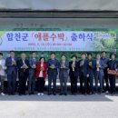 첫눈에반한딸기 영농조합법인 이미지