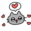 코아애견 이미지