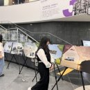 독도환경 이미지