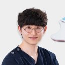 더쉐입