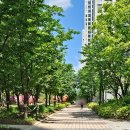 동감공인중개사사무소 이미지