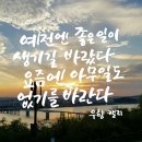 언제나 봄약국 이미지