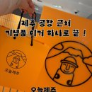 오늘, 제주 | 제주 공항 근처 선물 추천 하르방느 디저트 솔직후기 | 오늘제주 신라면세점 제주점 제주도 기념품