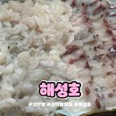 해성호 - 진도군 가계길 93-10 | 속초 회 맛집 설악항 회센터 해성호 자연산 회 줄가자미 감성돔 인생 후기