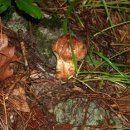 창선농장 이미지